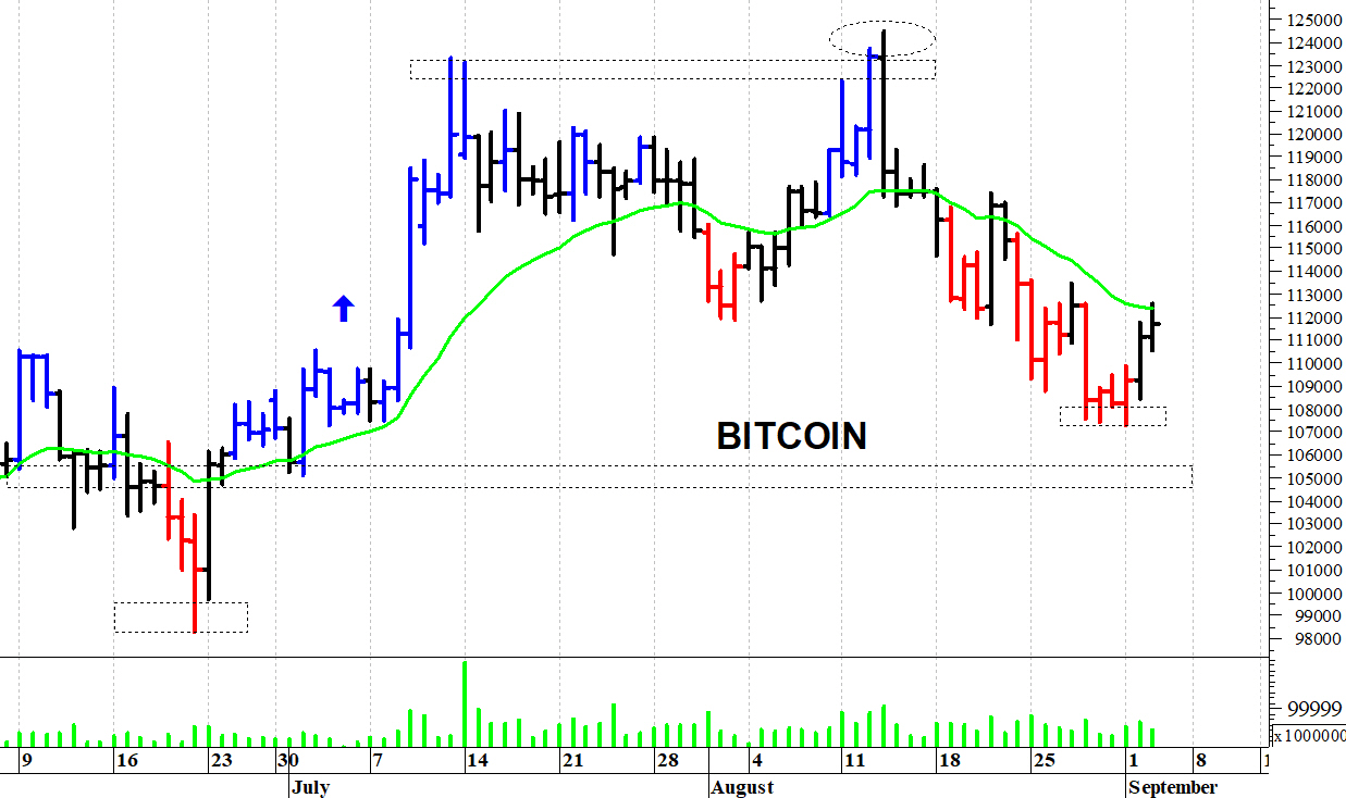 Bitcoin ($): il mercato prova un recupero | MilanoFinanza News