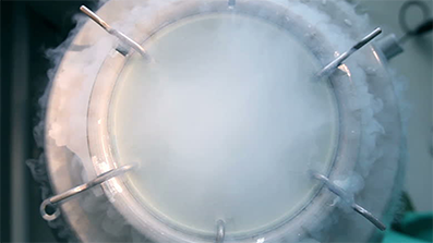 Sterilizzare l'azoto liquido per congelare i rischi