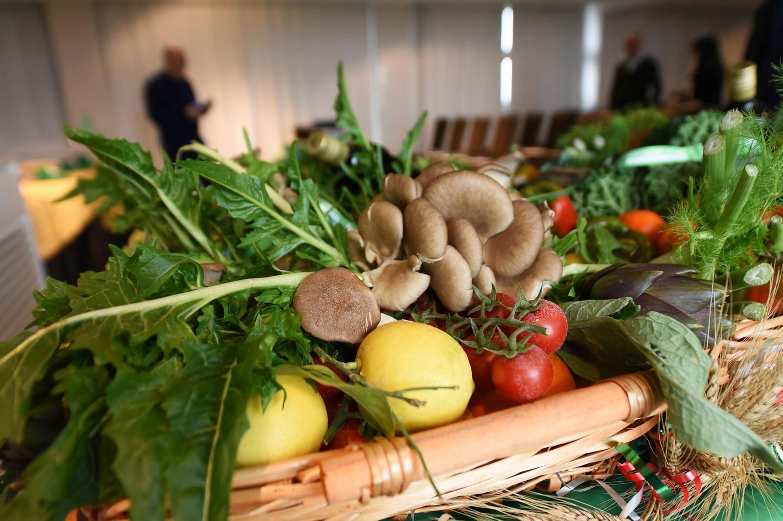 Un consorzio a guida italiana al fianco della DG Agri sulle politiche