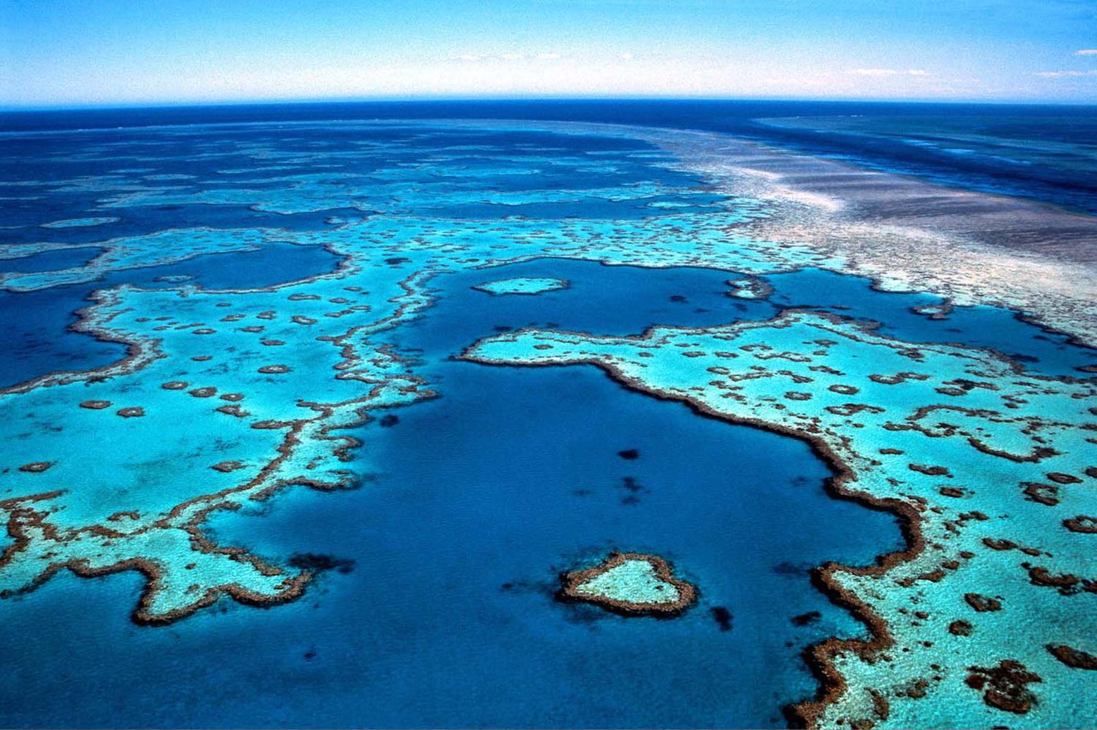 Australia La Grande Barriera Corallina Panoramiche