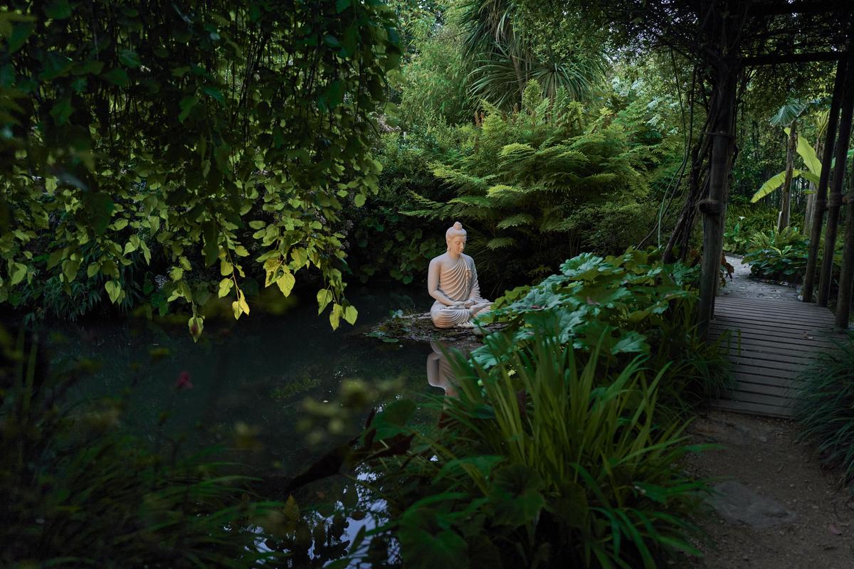https://static.milanofinanza.it/content_upload/img/2026/05/202605051117167265/9_GiardinoBotanicoHeller_phLucaLocatelli-678704.jpg